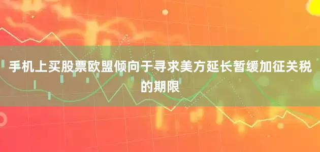 手机上买股票欧盟倾向于寻求美方延长暂缓加征关税的期限