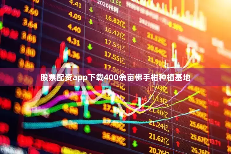 股票配资app下载400余亩佛手柑种植基地