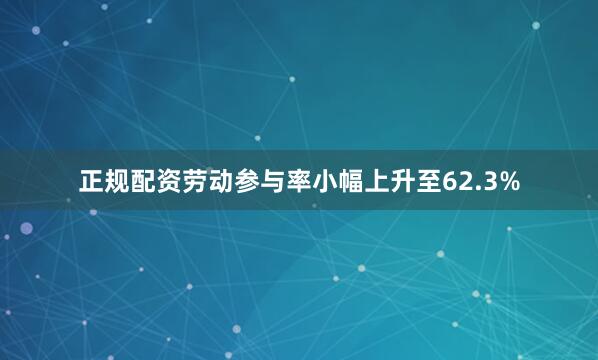 正规配资劳动参与率小幅上升至62.3%